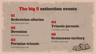 The big 5 extinction events
440 million years ago
Ordovician-silurian
365 million years ago
Devonian
250 million years ago
Permian-triassic
210 million years ago
Triassic-jurassic
65 Million years ago
Cretaceous-tertiary
01
02
03
04
05
 