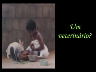 Um veterinário ?