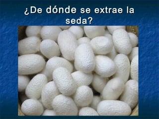 ¿De¿De dóndedónde se extrae lase extrae la
seda?seda?
 