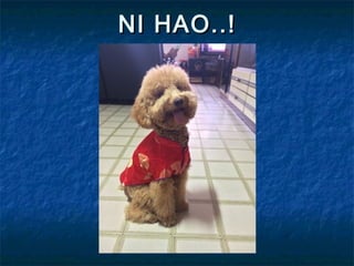 NI HAO..!NI HAO..!
 