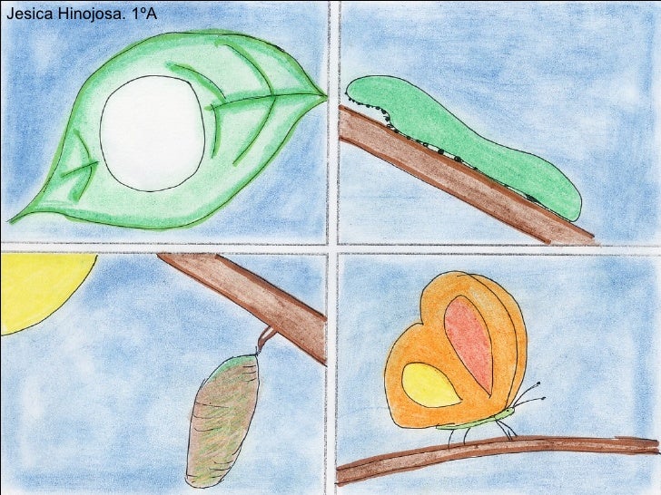 Historias Contadas Con Imagenes Sin Palabras