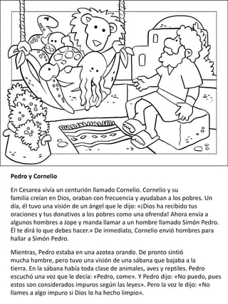Pedro y Cornelio
En Cesarea vivía un centurión llamado Cornelio. Cornelio y su
familia creían en Dios, oraban con frecuencia y ayudaban a los pobres. Un
día, él tuvo una visión de un ángel que le dijo: «¡Dios ha recibido tus
oraciones y tus donativos a los pobres como una ofrenda! Ahora envía a
algunos hombres a Jope y manda llamar a un hombre llamado Simón Pedro.
Él te dirá lo que debes hacer.» De inmediato, Cornelio envió hombres para
hallar a Simón Pedro.
Mientras, Pedro estaba en una azotea orando. De pronto sintió
mucha hambre, pero tuvo una visión de una sábana que bajaba a la
tierra. En la sábana había toda clase de animales, aves y reptiles. Pedro
escuchó una voz que le decía: «Pedro, come». Y Pedro dijo: «No puedo, pues
estos son considerados impuros según las leyes». Pero la voz le dijo: «No
llames a algo impuro si Dios lo ha hecho limpio».
 