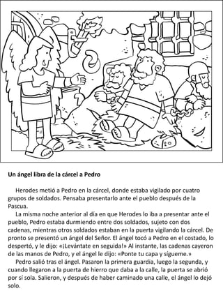 Un ángel libra de la cárcel a Pedro
Herodes metió a Pedro en la cárcel, donde estaba vigilado por cuatro
grupos de soldados. Pensaba presentarlo ante el pueblo después de la
Pascua.
La misma noche anterior al día en que Herodes lo iba a presentar ante el
pueblo, Pedro estaba durmiendo entre dos soldados, sujeto con dos
cadenas, mientras otros soldados estaban en la puerta vigilando la cárcel. De
pronto se presentó un ángel del Señor. El ángel tocó a Pedro en el costado, lo
despertó, y le dijo: «¡Levántate en seguida!» Al instante, las cadenas cayeron
de las manos de Pedro, y el ángel le dijo: «Ponte tu capa y sígueme.»
Pedro salió tras el ángel. Pasaron la primera guardia, luego la segunda, y
cuando llegaron a la puerta de hierro que daba a la calle, la puerta se abrió
por sí sola. Salieron, y después de haber caminado una calle, el ángel lo dejó
solo.
 