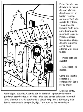 Pedro fue a la casa
de María, la madre
de Juan Marcos,
donde muchos se
habían reunido
para orar. Tocó a la
puerta de entrada,
y una sirvienta
llamada Rode fue a
abrir. Cuando ella
reconoció la voz de
Pedro, se alegró
tanto que, en lugar
de abrir la puerta,
corrió hacia
adentro y les dijo a
todos:
—¡Pedro está a la
puerta!
—¡Estás loca!—le
dijeron.
Como ella insistía,
llegaron a la
conclusión: «Debe
ser su ángel».
Mientras tanto,
Pedro seguía tocando. Cuando por fin abrieron la puerta y lo vieron,
quedaron asombrados. Él les hizo señas para que se callaran y les contó
cómo el Señor lo había sacado de la cárcel. «Díganles a Santiago y a los
demás hermanos lo que pasó», dijo. Y después se fue a otro lugar.
 