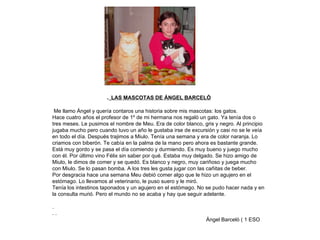 .   LAS MASCOTAS DE ÁNGEL BARCELÓ Me llamo Ángel y quería contaros una historia sobre mis mascotas: los gatos. Hace cuatro años el profesor de 1º de mi hermana nos regaló un gato. Ya tenía dos o tres meses. Le pusimos el nombre de Meu. Era de color blanco, gris y negro. Al principio jugaba mucho pero cuando tuvo un año le gustaba irse de excursión y casi no se le veía en todo el día. Después trajimos a Miulo. Tenía una semana y era de color naranja. Lo criamos con biberón. Te cabía en la palma de la mano pero ahora es bastante grande. Está muy gordo y se pasa el día comiendo y durmiendo. Es muy bueno y juego mucho con él. Por último vino Félix sin saber por qué. Estaba muy delgado. Se hizo amigo de Miulo, le dimos de comer y se quedó. Es blanco y negro, muy cariñoso y juega mucho con Miulo. Se lo pasan bomba. A los tres les gusta jugar con las cañitas de beber. Por desgracia hace una semana Meu debió comer algo que le hizo un agujero en el estómago. Lo llevamos al veterinario, le puso suero y le miró. Tenía los intestinos taponados y un agujero en el estómago. No se pudo hacer nada y en la consulta murió. Pero el mundo no se acaba y hay que seguir adelante.  . . .  Ángel Barceló ( 1 ESO  