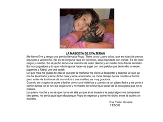 LA MASCOTA DE EVA TERÁN Me llamo Eva y tengo una perrita llamada Popy. Tiene unos cuatro años, que en edad de perros equivale a veintiocho. No es de ninguna raza en concreto, está mezclada con varias. Es de color negro y marrón. En el pecho tiene una mancha de color blanco y en medio de la frente también.  Es muy juguetona y lo que más le gusta hacer es jugar con una pelota que tiene ella, a veces jugamos a fútbol, ¡es una crack!  Lo que más me gusta de ella es que por la mañana me viene a despertar y cuando ve que ya me he levantado y le he dicho hola y la he acariciado, se mete debajo de las mantas a dormir, pero antes de tumbarse da como dos o tres vueltas, es muy graciosa. Cuando ve un gato se pone a ladrar como una histérica y cuando ve un pájaro ladra y se pone a correr detrás de él. Un día cogió uno y mi madre se lo tuvo que sacar de la boca para que no lo matara. La quiero mucho y no sé que haría sin ella ya que si se muere o le pasa algo y me compraran otro perro, no sería igual que ella porque Popy es especial y como he dicho antes la quiero un montón. Eva Terán Llaveria  1 ESO B 