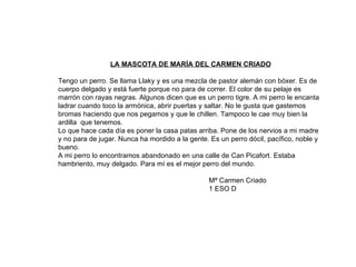 LA MASCOTA DE MARÍA DEL CARMEN CRIADO Tengo un perro. Se llama Llaky y es una mezcla de pastor alemán con bóxer. Es de cuerpo delgado y está fuerte porque no para de correr. El color de su pelaje es marrón con rayas negras. Algunos dicen que es un perro tigre. A mi perro le encanta ladrar cuando toco la armónica, abrir puertas y saltar. No le gusta que gastemos bromas haciendo que nos pegamos y que le chillen. Tampoco le cae muy bien la ardilla  que tenemos. Lo que hace cada día es poner la casa patas arriba. Pone de los nervios a mi madre y no para de jugar. Nunca ha mordido a la gente. Es un perro dócil, pacífico, noble y bueno. A mi perro lo encontramos abandonado en una calle de Can Picafort. Estaba hambriento, muy delgado. Para mí es el mejor perro del mundo. Mª Carmen Criado 1 ESO D 