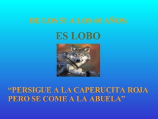 DE LOS 51 A LOS 60 AÑOS: ES LOBO “ PERSIGUE A LA CAPERUCITA ROJA PERO SE COME A LA ABUELA” 
