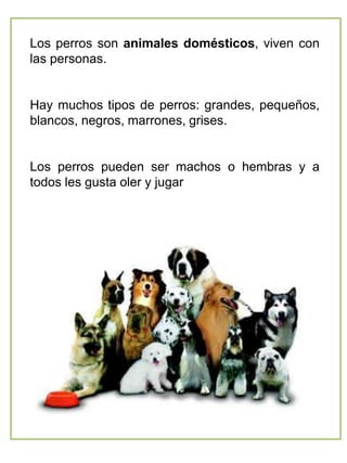 Los perros son animales domésticos, viven con
las personas.
Hay muchos tipos de perros: grandes, pequeños,
blancos, negros, marrones, grises.
Los perros pueden ser machos o hembras y a
todos les gusta oler y jugar
 
