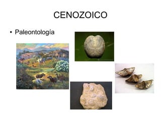 CENOZOICO
● Paleontología
 