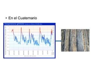 ● En el Cuaternario
 