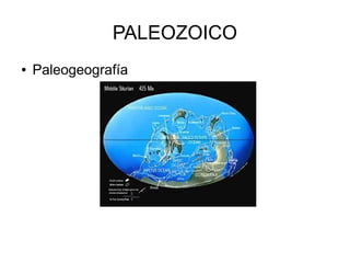 PALEOZOICO
● Paleogeografía
 