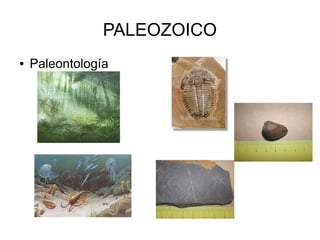 PALEOZOICO
● Paleontología
 