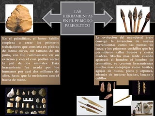LAS
HERRAMIENTAS
EN EL PERIODO
PALEOLITICO
En el paleolítico, el homo habilis
empieza a crear los primeros
trabajadores que consistía en piedras
de forma curva, del tamaño de un
puño, con filo rudimentario en un
extremo y con el cual podían cortar
la piel de los animales. Esta
herramienta fue usada por los
humanos por casi dos millones de
años, hasta que la mejoraron con el
hacha de mano.
La evolución del neandertal trajo
consigo la invención de nuevas
herramientas como las puntas de
lanza y los primeros cuchillos que les
permitieron tallar huesos y cortar
madera. Mucho mas tarde cuando
apareció el hombre el hombre de
cromañón, se crearon herramientas
mucho mas complejas como buriles,
agujas de hueso, picos y arpones,
además de mejorar hachas, lanzas y
culillos.
 