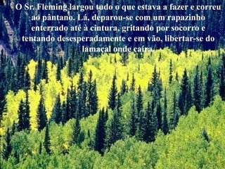 O Sr. Fleming largou tudo o que estava a fazer e correu
    ao pântano. Lá, deparou-se com um rapazinho
    enterrado até à cintura, gritando por socorro e
 tentando desesperadamente e em vão, libertar-se do
                 lamaçal onde caíra.
 