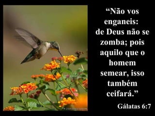 “ Não vos enganeis:  de Deus não se zomba; pois aquilo que o homem semear, isso também ceifará.” Gálatas 6:7 