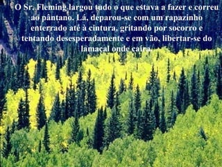 O Sr. Fleming largou tudo o que estava a fazer e correu ao pântano. Lá, deparou-se com um rapazinho enterrado até à cintura, gritando por socorro e tentando desesperadamente e em vão, libertar-se do lamaçal onde caíra. 