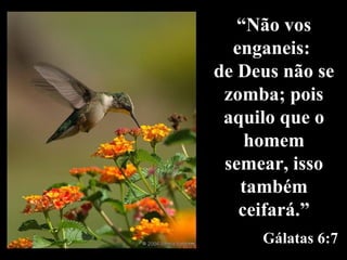 “ Não vos enganeis:  de Deus não se zomba; pois aquilo que o homem semear, isso também ceifará.” Gálatas 6:7 