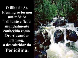O filho do Sr.
Fleming se tornou
um médico
brilhante e ficou
mundialmente
conhecido como
Dr. Alexander
Fleming,
o descobridor da
Penicilina.
 