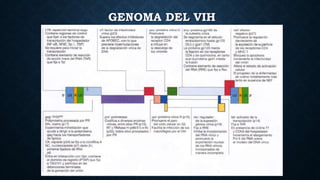 GENOMA DEL VIH
 