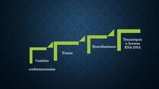 Cambios
conformacionales
Fusion
Enrrollamiento
Transcripcio
n Inversa
RNA-DNA
 