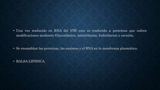 • Una vez traducido en RNA del VIH esta es traducida a proteínas que sufren
modificaciones mediante Glucosilacion, miristilacion, fosforilacion y escisión.
• Se ensamblan las proteínas, las enzimas y el RNA en la membrana plasmática.
• BALSA LIPIDICA.
 