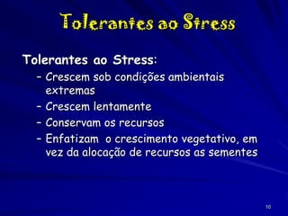 Tolerantes ao Stress
Tolerantes ao Stress:
– Crescem sob condições ambientais
extremas
– Crescem lentamente
– Conservam os recursos
– Enfatizam o crescimento vegetativo, em
vez da alocação de recursos as sementes

10

 