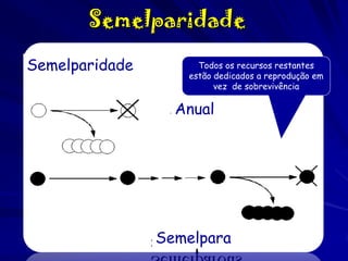 Semelparidade
Semelparidade

Todos os recursos restantes
estão dedicados a reprodução em
vez de sobrevivência

Anual

Semelpara

 