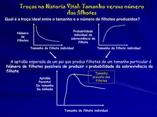 Troças na Historia Vital: Tamanho versus número
dos filhotes
Qual é a troça ideal entre o tamanho e o número de filhotes produzidos?
Probabilidade
individual de
sobrevivência do
filhote

Número
de
filhotes

Tamanho do filhote individual

Tamanho do filhote individual

A aptidão esperada de um pai que produz filhotes de um tamanho particular é
Número de filhotes possíveis de produzir x probabilidade da sobrevivência do
filhote
Aptidão
Parental
Do tamanho
Da ninhada

Tamanho
previsto dos
filhotes

Tamanho do filhote individual

 