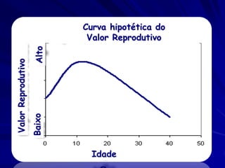 Alto
Baixo

Valor Reprodutivo

Curva hipotética do
Valor Reprodutivo

Idade

 