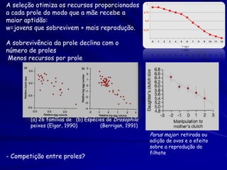 A seleção otimiza os recursos proporcionados
a cada prole do modo que a mãe recebe a
maior aptidão:
w=jovens que sobrevivem + mais reprodução.
A sobrevivência da prole declina com o
número de proles
Menos recursos por prole

(a) 26 famílias de (b) Espécies de Drosophila
peixes (Elgar, 1990)
(Berrigan, 1991)

Parus major: retirada ou

- Competição entre proles?

adição de ovos e o efeito
sobre a reprodução do
filhote

 