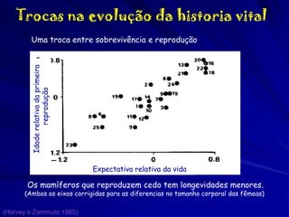 Trocas na evolução da historia vital

Idade relativa da primeira
reprodução

Uma troca entre sobrevivência e reprodução

Expectativa relativa da vida

Os mamíferos que reproduzem cedo tem longevidades menores.

(Ambos os eixos corrigidas para as diferencias no tamanho corporal das fêmeas)
(Harvey e Zammuto 1985)

 