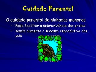 Cuidado Parental
O cuidado parental de ninhadas menores
– Pode facilitar a sobrevivência das proles
– Assim aumento o sucesso reprodutivo dos
pais

 