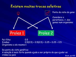 Existem muitas trocas seletivas
Ponto da vista do gene:
Considere o
parentesco, r, dos
genes num organismo

Proles 1

Proles 2

Pai-filho:
0.5
Irmãos:
0.5(0.5) + 0.5(0.5) = 0.25 + 0.25 = 0.5
Organismo a ele mesmo:1
Do ponto de vista genética:
A seleção é mais forte quando ajuda a ser próprio do que ajudar os
irmãos ou pais
Book, pp 449

 