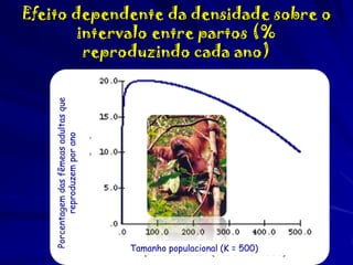 Porcentagem das fêmeas adultas que
reproduzem por ano

Efeito dependente da densidade sobre o
intervalo entre partos (%
reproduzindo cada ano)

Tamanho populacional (K = 500)

 