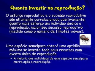 Quanto investir na reprodução?
O esforço reprodutivo e o sucesso reprodutivo
são altamente correlacionada positivamente:
quanto mais esforço um indivíduo dedica a
reprodução, maior seu sucesso reprodutivo
(medido como o número de filhotes viáveis).

Uma espécie semelpara obterá uma aptidão
máxima se investe todo seus recursos num
evento único de reprodução

– A maioria dos indivíduos de uma espécie semelpara
morre após a reprodução.

 