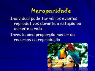 Iteroparidade
Individual pode ter vários eventos
reprodutivos durante a estação ou
durante a vida
Investe uma proporção menor de
recursos na reprodução

 