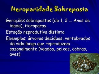 Iteroparidade Sobreposta
Gerações sobrepostas (de 1, 2 ... Anos de
idade), iteroparas
Estação reprodutiva distinta
Exemplos: árvores decíduas, vertebrados
de vida longa que reproduzem
sazonalmente (veados, peixes, cobras,
aves)

 