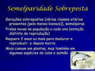 Semelparidade Sobreposta
Gerações sobrepostas (várias classes etárias
presentes [pelo menos bienais]), semelparas
Proles novas na população a cada ano (estação
distinta de reprodução)
Requere 2 anos ou mais para madurar e
reproduzir, e depois morre
Mais comum em plantas, mas também em
algumas espécies de lulas e salmão

 