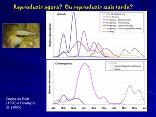 Reproduzir agora? Ou reproduzir mais tarde?
Historic

Fry with platelets only
Fry (<60 mm)
Fingerling - Recent Arrivals

Relative Abundance

Fingerling - Fluvial rearing
Fingerling - Estuarine Rearing
Fingerling - Fluvial and additional rearing
Yearling

Jan

Mar

May

Jul

Sep

Nov

Jan

Mar

May

Jul

Fry

Contemporary

Fingerline Natal / Fluvial Rearing

Relative Abundance

Yearling

Dados de Rich
(1920) e Dawley et
al. (1985)

Jan

Mar

May

Jul

Sep

Nov

Jan

Mar

May

Jul

 
