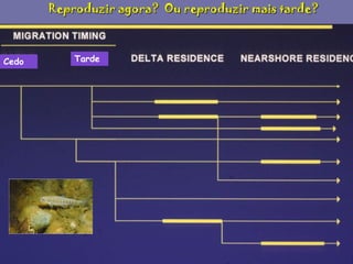 Reproduzir agora? Ou reproduzir mais tarde?

Cedo

Tarde

 
