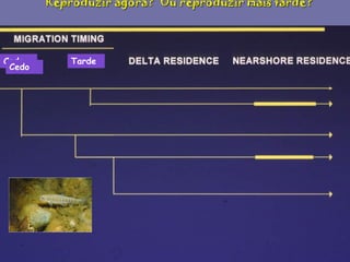 Reproduzir agora? Ou reproduzir mais tarde?

Cedo
Cedo

Tarde

 