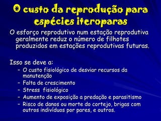 O custo da reprodução para
espécies iteroparas
O esforço reprodutivo num estação reprodutiva
geralmente reduz o número de filhotes
produzidos em estações reprodutivas futuras.
Isso se deve a:

– O custo fisiológico de desviar recursos da
manutenção
– Falta de crescimento
– Stress fisiológico
– Aumento de exposição a predação e parasitismo
– Risco de danos ou morte do cortejo, brigas com
outros indivíduos por pares, e outros.

 
