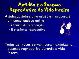 Aptidão é o Sucesso
Reprodutivo da Vida Inteira
A seleção sobre uma espécie iteropara é
um compromisso entre
– O custo da reprodução
– E o esforço reprodutivo

Todas as trocas servem para maximizar o
sucesso reprodutivo durante a vide
intera.

 
