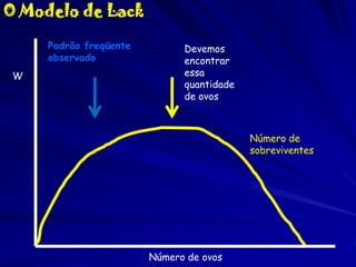 O Modelo de Lack
Padrão freqüente
observado

W

Devemos
encontrar
essa
quantidade
de ovos

Número de
sobreviventes

Número de ovos

 