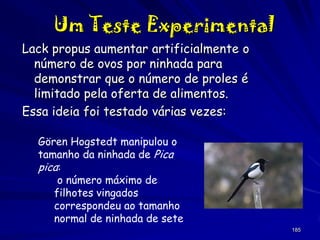 Um Teste Experimental
Lack propus aumentar artificialmente o
número de ovos por ninhada para
demonstrar que o número de proles é
limitado pela oferta de alimentos.
Essa ideia foi testado várias vezes:
Gören Hogstedt manipulou o
tamanho da ninhada de Pica
pica:
o número máximo de
filhotes vingados
correspondeu ao tamanho
normal de ninhada de sete
185

 