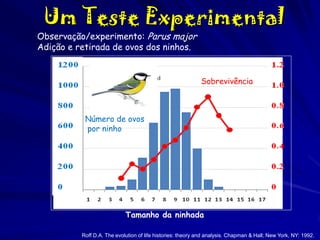 Um Teste Experimental

Observação/experimento: Parus major
Adição e retirada de ovos dos ninhos.

Sobrevivência

Número de ovos
por ninho

Tamanho da ninhada
Roff D.A. The evolution of life histories: theory and analysis. Chapman & Hall; New York, NY: 1992.

 