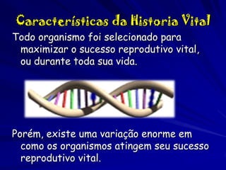 Características da Historia Vital
Todo organismo foi selecionado para
maximizar o sucesso reprodutivo vital,
ou durante toda sua vida.

Porém, existe uma variação enorme em
como os organismos atingem seu sucesso
reprodutivo vital.

 
