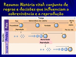 Resumo: História vital: conjunto de
regras e decisões que influenciam a
sobrevivência e a reprodução
Tempo

Pais

Pais
Fecundidade

Sobrevivência dos adultos
Paridade

Proles

Adulto
Fim da vida

Maturidade
Reprodução

Geração 2

Gerações

Reprodução

Morte
do

 