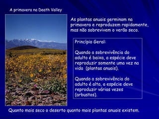 A primavera na Death Valley

As plantas anuais germinam na
primavera e reproduzem rapidamente,
mas não sobrevivem o verão seco.
Princípio Geral:
Quando a sobrevivência do
adulto é baixa, a espécie deve
reproduzir somente uma vez na
vida (plantas anuais).
Quando a sobrevivência do
adulto é alta, a espécie deve
reproduzir várias vezes
(arbustos).
Quanto mais seco o deserto quanto mais plantas anuais existem.

 